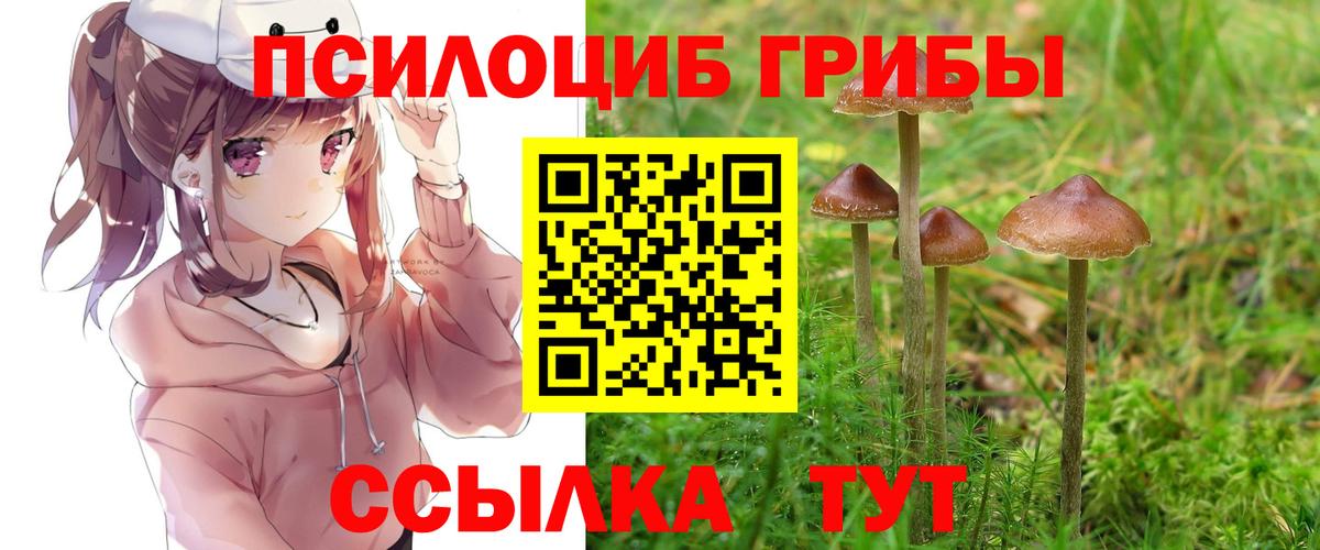 Галлюциногенные грибы MAGIC MUSHROOMS Осинники