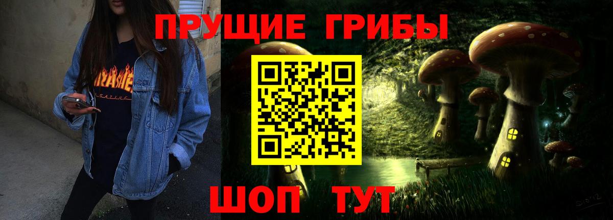 Псилоцибиновые грибы мицелий  Псилоцибиновые грибы Psilocybe  Осинники  Вход с VPN 